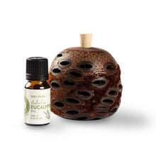 Load image into Gallery viewer, Eucalyptus 100% Pure Australian Essential Oil 10ml
