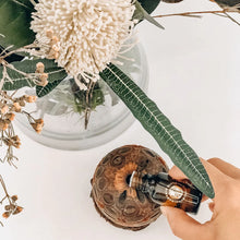 Load image into Gallery viewer, Eucalyptus 100% Pure Australian Essential Oil 10ml