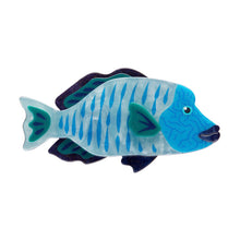 Load image into Gallery viewer, Maori Wrasse Brooch - Erstwilder Great Barrier Reef