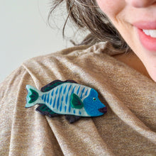 Load image into Gallery viewer, Maori Wrasse Brooch - Erstwilder Great Barrier Reef
