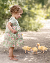 Load image into Gallery viewer, Desert Rose Apple Matilda Baby Dress - Toshi