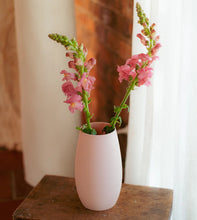 Load image into Gallery viewer, Light Dusky Pink Baobab Vase