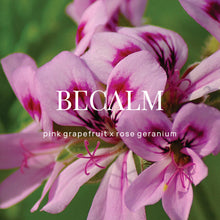 Load image into Gallery viewer, 3 x Becalm Shower Steamers