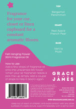 Load image into Gallery viewer, Persimmon & Vanilla Felt Air Freshener