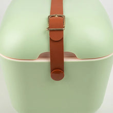 Load image into Gallery viewer, 20L Sage Polarbox Gold Cooler