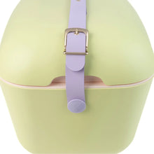 Load image into Gallery viewer, 20L Lime/Lilac Polarbox Pop Cooler