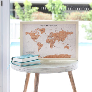Small World Map Travel Pin Board