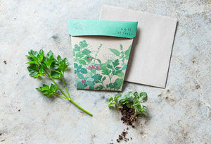 Garden Herbs Gift of Seeds - Card