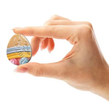 Load image into Gallery viewer, A4 Bunny Hunt Wooden Puzzle