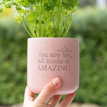 Load image into Gallery viewer, &#39;Amazing&#39; Positive Pot Planter