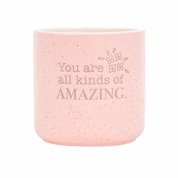 'Amazing' Positive Pot Planter