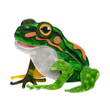 Load image into Gallery viewer, Frodo the Frog Brooch - Erstwilder Australiana