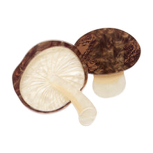 Load image into Gallery viewer, Mighty Mushie Brooch - Erstwilder In Praise Of Veg