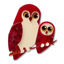 Load image into Gallery viewer, Eyes on You Brooch Pair - Erstwilder By Your Side