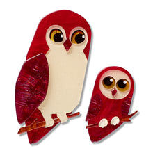 Load image into Gallery viewer, Eyes on You Brooch Pair - Erstwilder By Your Side