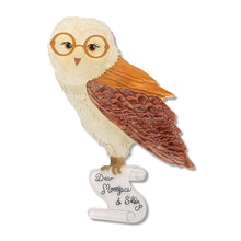 Load image into Gallery viewer, Barny Owl Brooch - Erstwilder x The Magic Faraway Tree