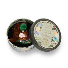 Load image into Gallery viewer, Slippery Slip Brooch - Erstwilder x The Magic Faraway Tree
