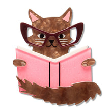 Load image into Gallery viewer, Puss in Books Brooch - Erstwilder 15th Birthday Fan Favourites