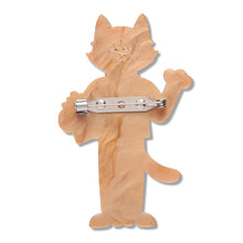 Load image into Gallery viewer, Whiskers M.D. Brooch - Erstwilder Wild at Work