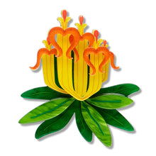 Load image into Gallery viewer, Long-Flower Mistletoe Brooch - Erstwilder x Royal Botanic Gardens Victoria