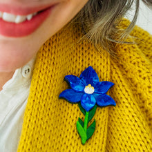 Load image into Gallery viewer, Spotted Sun-Orchid Brooch - Erstwilder x Royal Botanic Gardens Victoria
