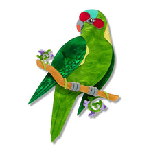 Load image into Gallery viewer, Musk Lorikeet Brooch - Erstwilder x Royal Botanic Gardens Victoria
