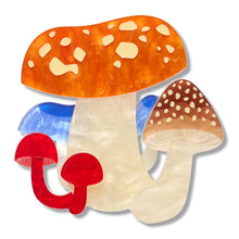Load image into Gallery viewer, Native Mushroom Medley Brooch - Erstwilder x Royal Botanic Gardens Victoria