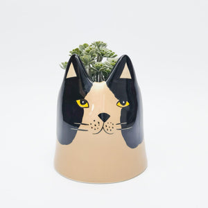 Bailey Cat Planter Black & White 14cm