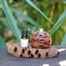 Load image into Gallery viewer, Banksia Essential Oil Stand