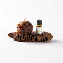 Load image into Gallery viewer, Banksia Essential Oil Stand