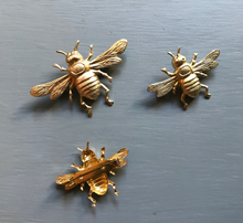 Load image into Gallery viewer, Queen Bee Brass Brooch