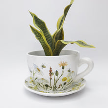 Load image into Gallery viewer, Bee Meadow Tea Cup Planter