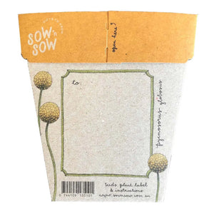 Billy Buttons Gift of Seeds - Card