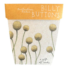 Load image into Gallery viewer, Billy Buttons Gift of Seeds - Card