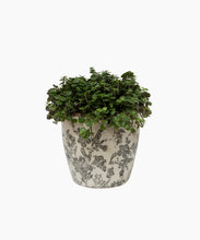 Load image into Gallery viewer, Large Black Floral Pot
