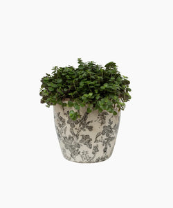 Large Black Floral Pot
