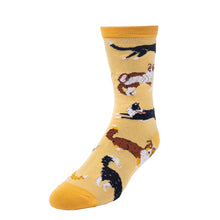 Load image into Gallery viewer, 'Ya Herd?' Border Collie Dog Socks - Womens