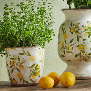 Large Botanical Lemon Pot