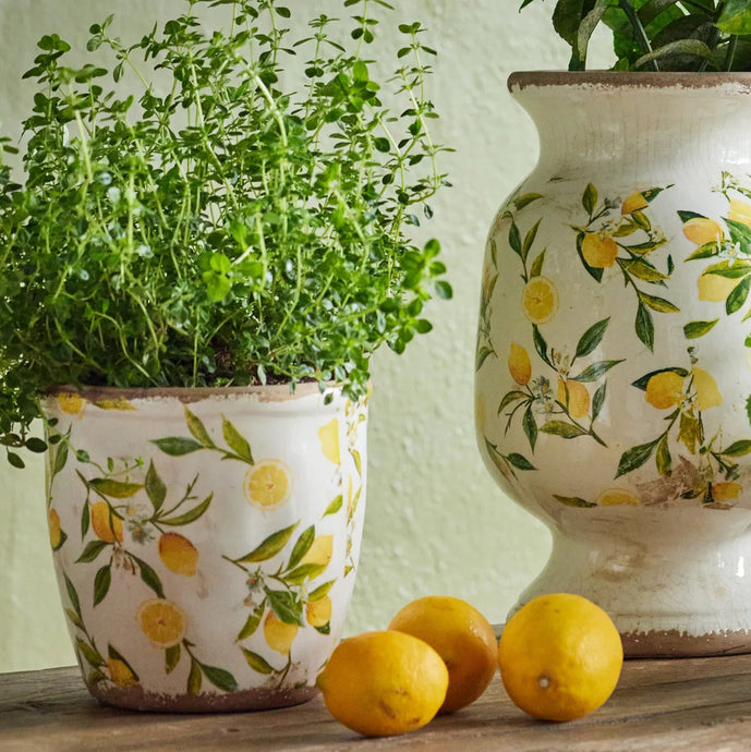 Large Botanical Lemon Pot