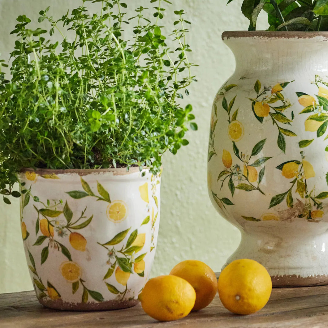 Large Botanical Lemon Pot