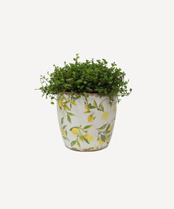 Large Botanical Lemon Pot