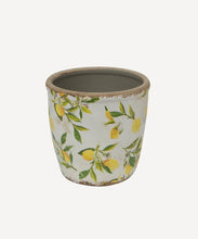 Load image into Gallery viewer, Large Botanical Lemon Pot