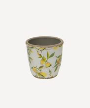 Load image into Gallery viewer, Small Botanical Lemon Pot