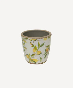 Small Botanical Lemon Pot