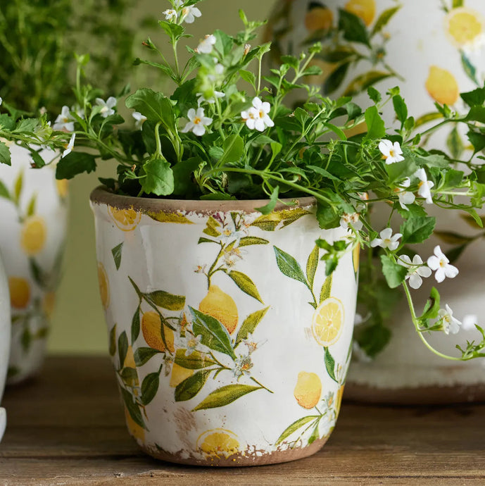 Small Botanical Lemon Pot