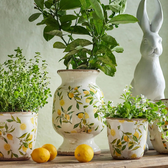 Botanical Lemon Urn