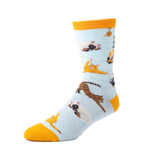 Load image into Gallery viewer, 'Calico-ordinated' Cat Socks - Womens