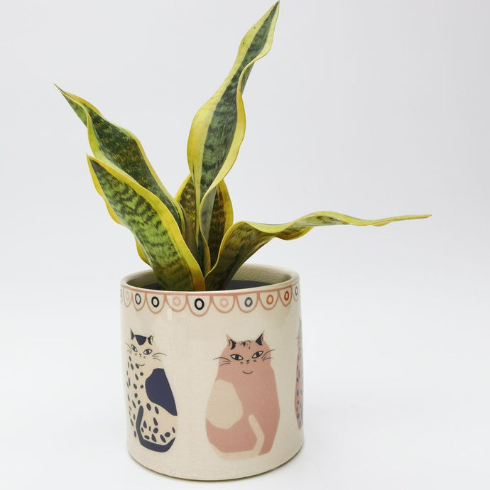 Cat Planter 14cm