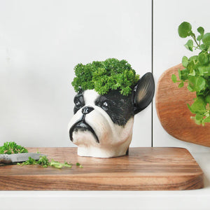 Frenchie Ceramic Planter