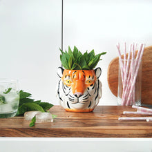 Load image into Gallery viewer, Tiger Ceramic Planter